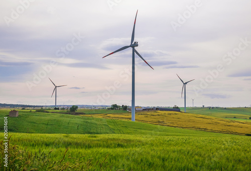 Puglia (Italy) - Wind farm with wind turbines and expanses of wheat