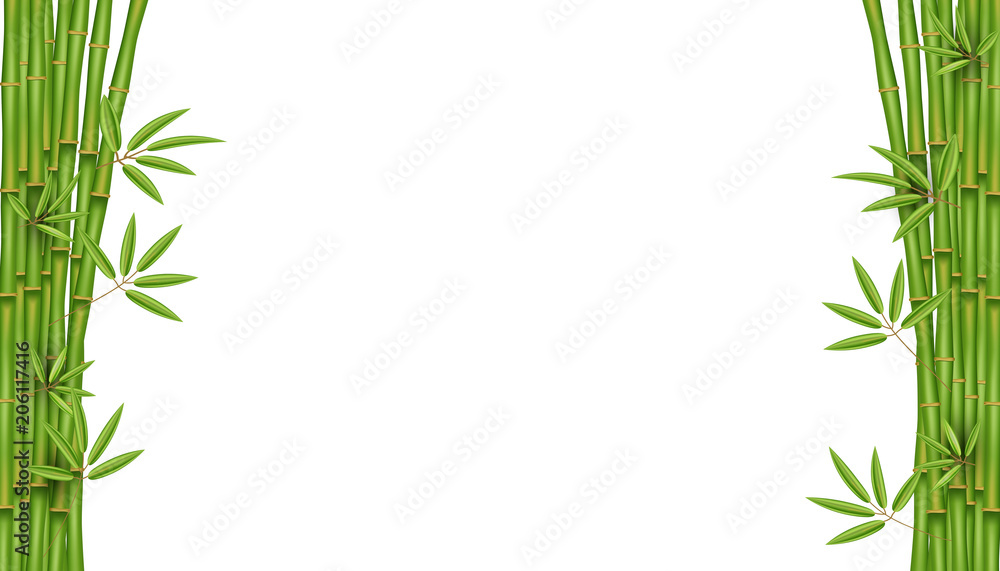 Creative vector illustration of chinese bamboo grass tree. Tropical asian plant art design. Abstract concept graphic banner, brochure, cover, booklet, print, flyer, book, blank, a4 element. Creative vector illustration of chinese bamboo grass tree. Tropical asian plant art design. Abstract concept graphic banner, brochure, cover, booklet, print, flyer, book, blank, a4 element.