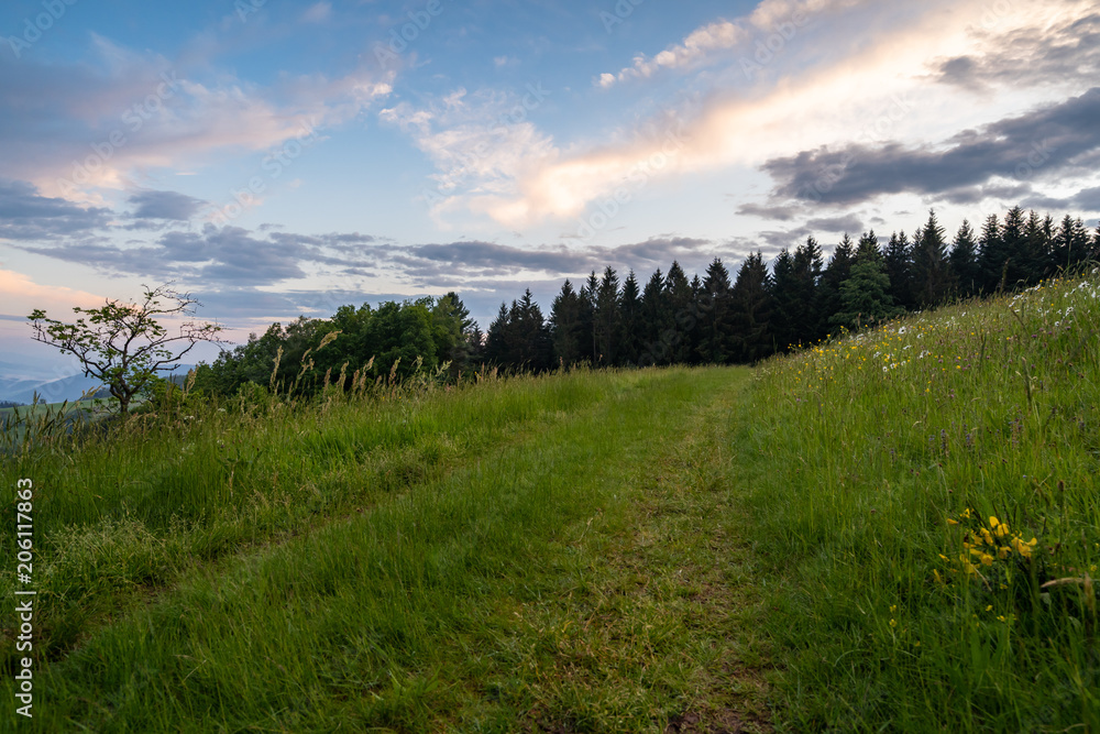 Sonnenuntergang im Schwarzwald Sonnenuntergang im Schwarzwald