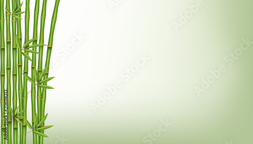 Creative vector illustration of chinese bamboo grass tree. Tropical asian plant art design. Abstract concept graphic banner, brochure, cover, booklet, print, flyer, book, blank, a4 element.