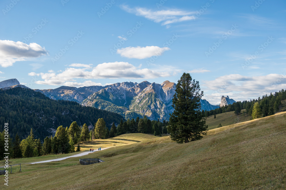beautiful landscape scenery on platzwiese in italien dolomites, travel and adventure photography
