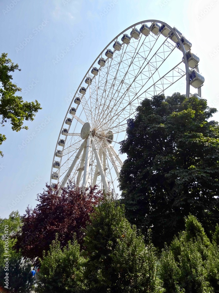 another regular wheel of fortune another regular wheel of fortune
