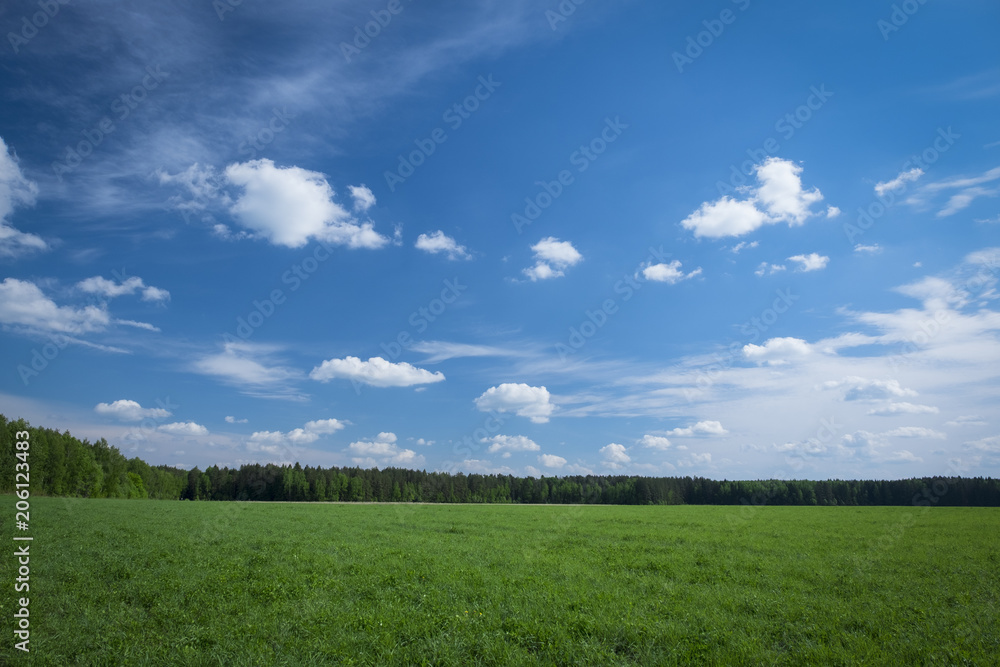 Green field in front of the forest and sky with clouds. Green field in front of the forest and sky with clouds.