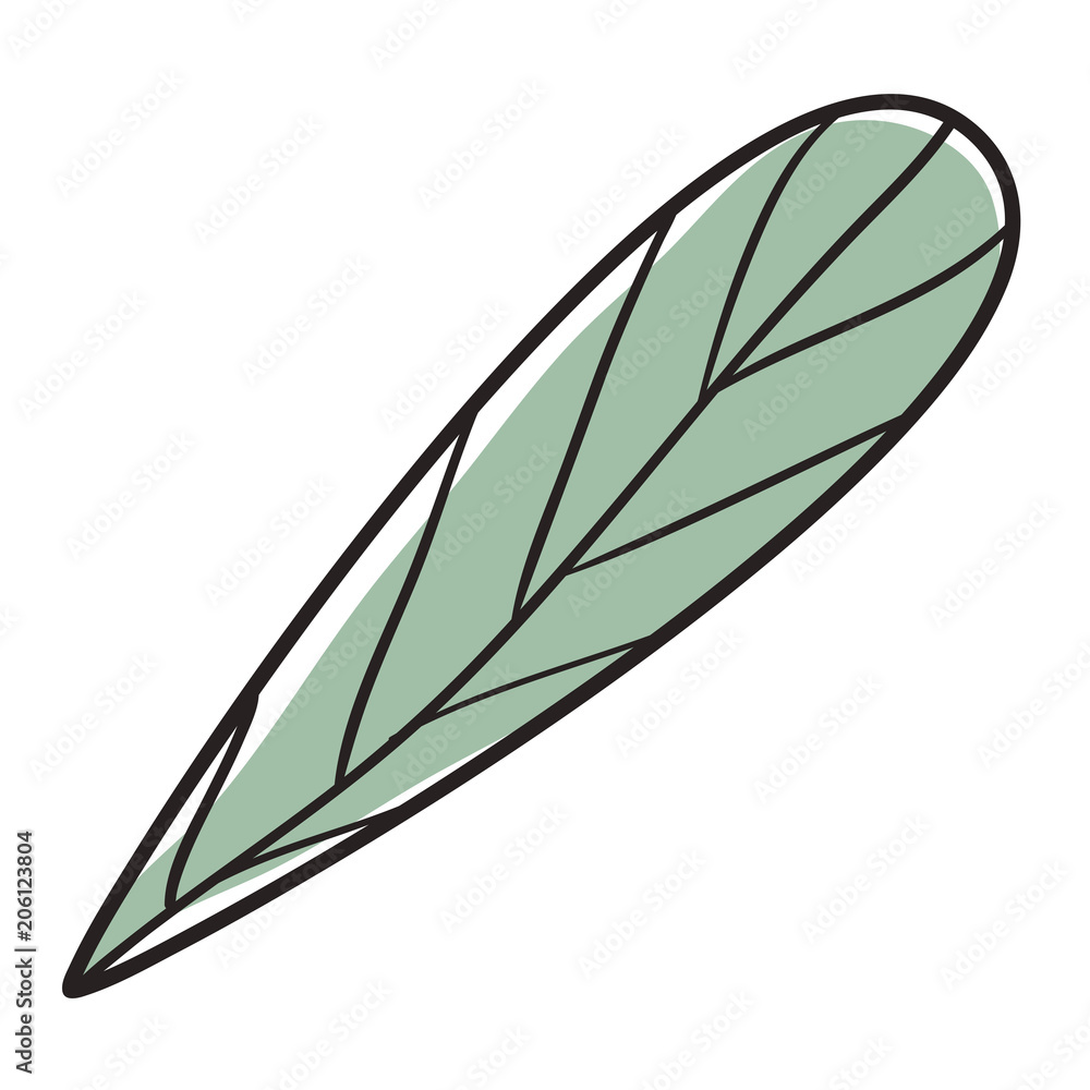 leaf single decorative icon vector illustration design leaf single decorative icon vector illustration design