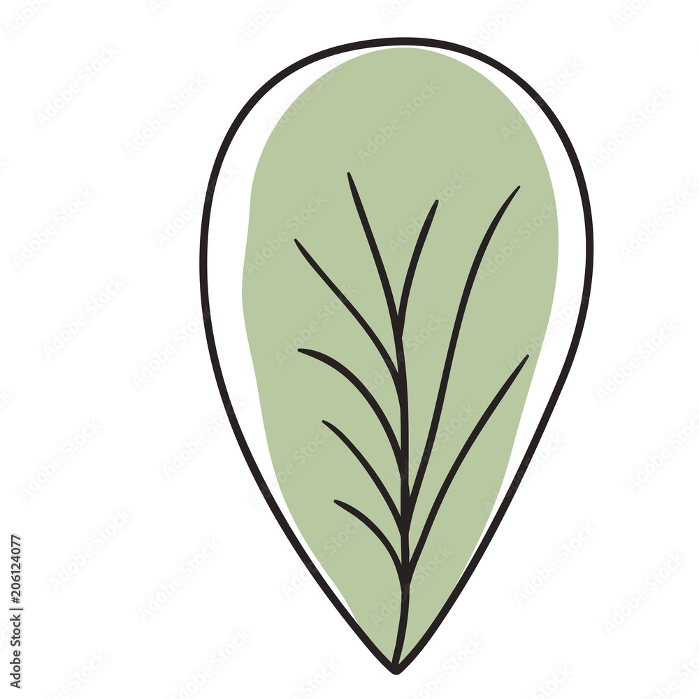 leaf single decorative icon vector illustration design leaf single decorative icon vector illustration design