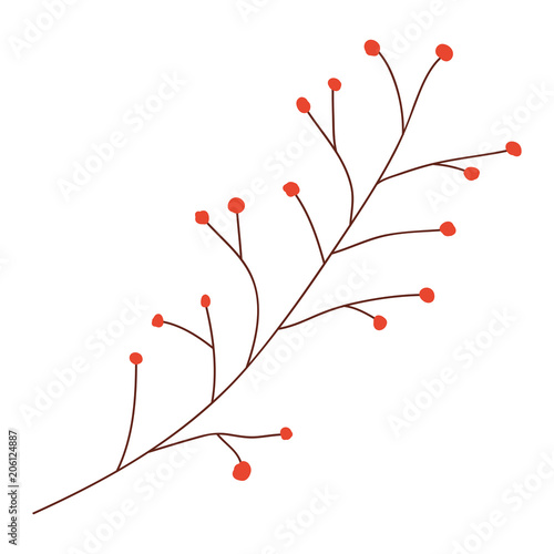 branch with seeds natural icon vector illustration design