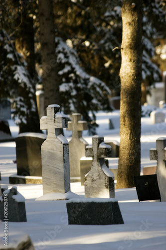 Snowy Graveyard