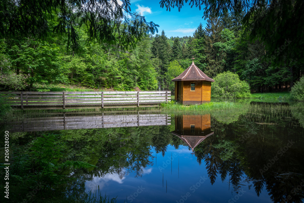 Obraz premium Einsamer Teich im Wald