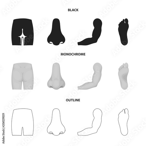 Buttocks, nose, arm, foot. Part of the body set collection icons in black,monochrome,outline style vector symbol stock illustration web.