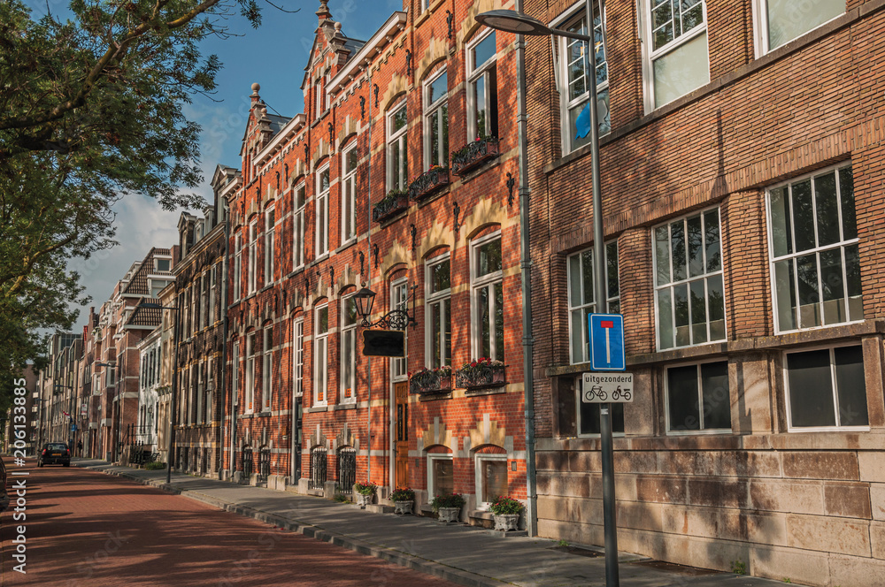 Empty street with semidetached brick houses, shade of trees at sunset and blue sky in s-Hertogenbosch. Gracious historical city with vibrant cultural life. Southern Netherlands.