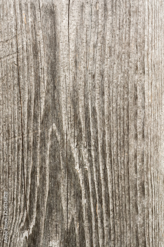 texture of old dry weathered cracked wood, cracks along the fibers of logs, close-up abstract background