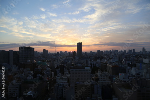 Canvas Print Morning Sunrise Over Tokyo, Japan