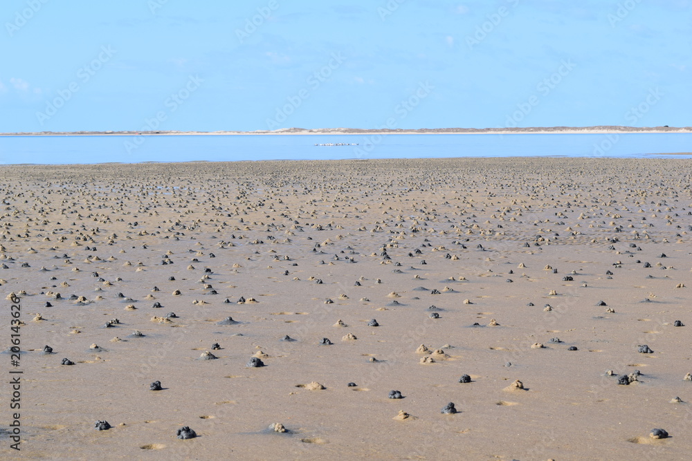 Sand Crab Mounds on Tranquil Beach with Blue Sky and Water Sand Crab Mounds on Tranquil Beach with Blue Sky and Water