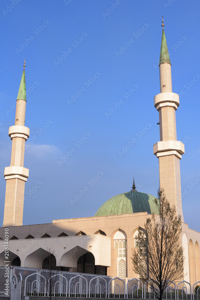 Beautiful mosque. Muslim worship place