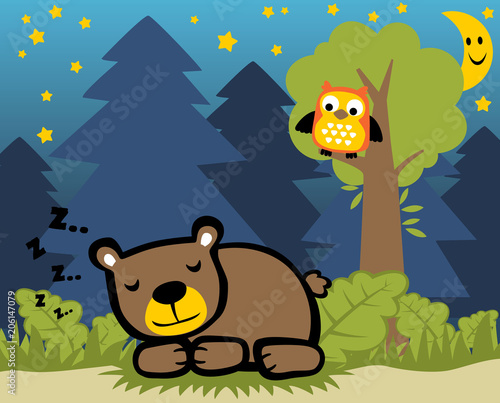 bear sleeping time with funny owl, vector cartoon illustration