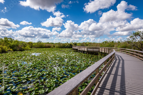 Bild auf Leinwand The Everglades' Anhinga Trail