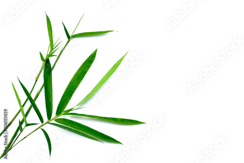Close -up bamboo leaves on white background