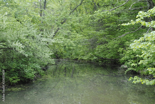 Katina Pond-Ledges State Park