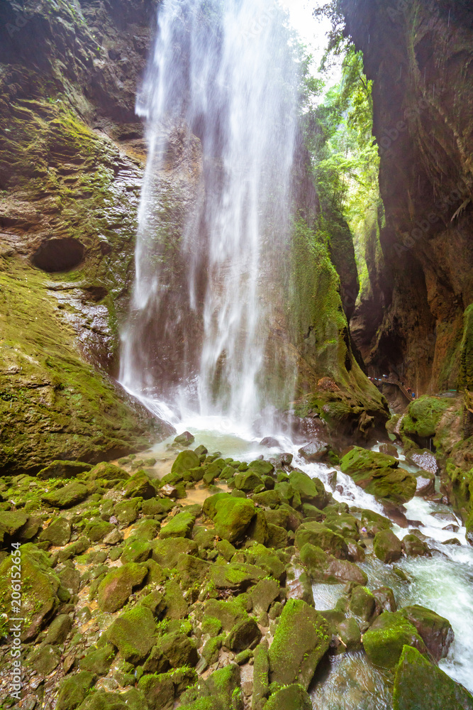 Obraz premium A waterfall stream in the forest
