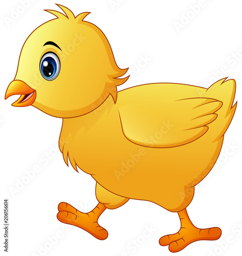 Cute little baby chick isolated on a white background