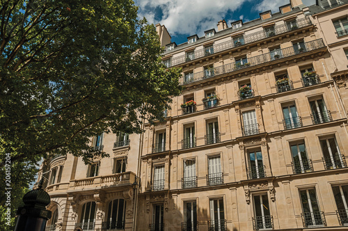 Facade of typical building with balcony, flowered windows and leafy tree in a sunny day at Paris. Known as the “City of Light”, is one of the most impressive world’s cultural center. Northern France.