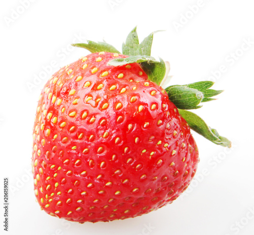 Strawberry on White Background