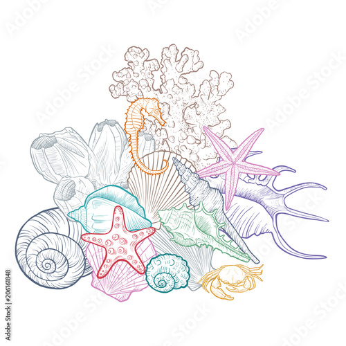 vector background with seashells