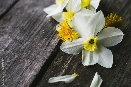 Fototapeta Naklejka Na Ścianę i Meble -  Spring flowers on a old wooden background