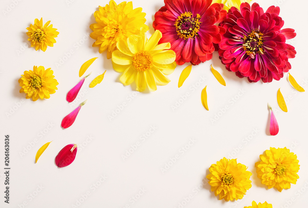 red and yellow flowers on white background