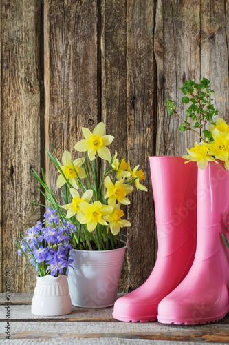 rubber boots and spring flowers on wooden background