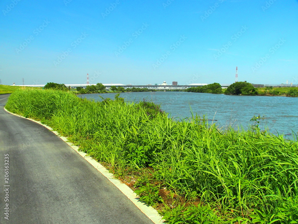 江戸川と夏草と道路