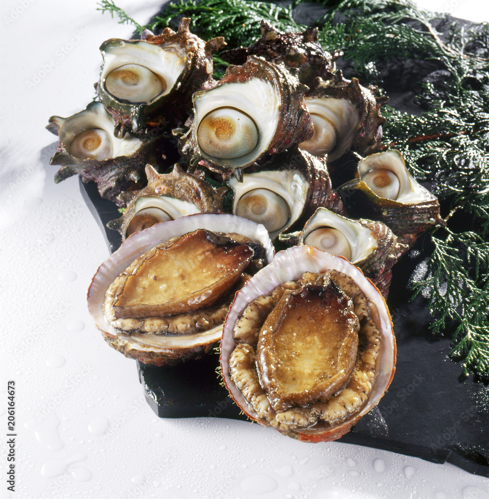 アワビ・サザエ (abalone and turban shell)