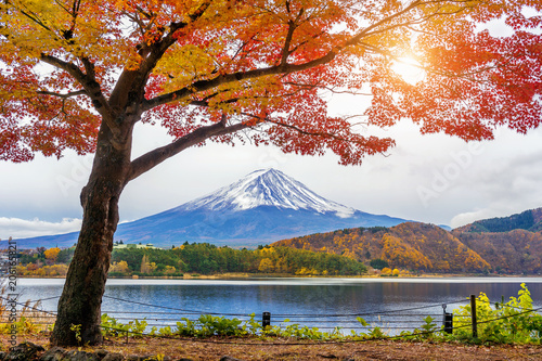 Autumn Season and Fuji mountains at Kawaguchiko lake, Japan.
