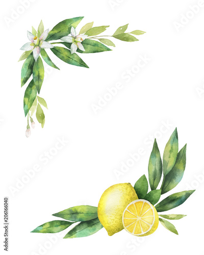 Watercolor vector hand drawn wreath with lemon and leaves.