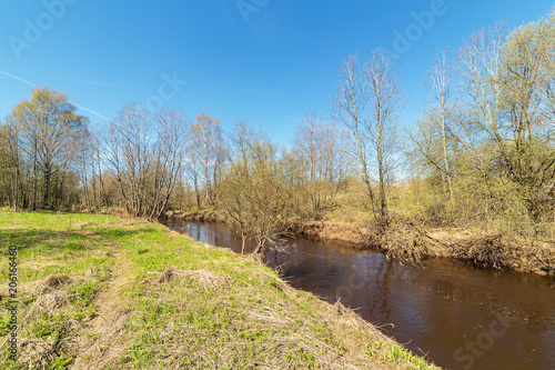 small river in spring