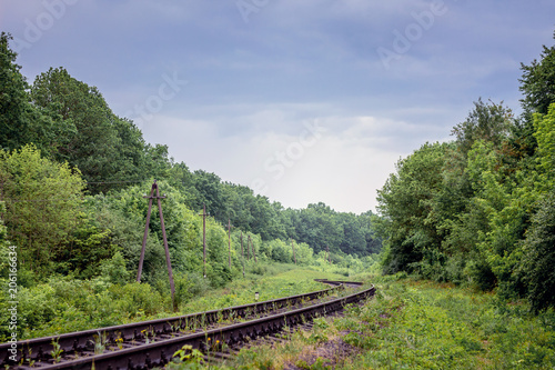 Railroad passing through forest. Travel and business trips_