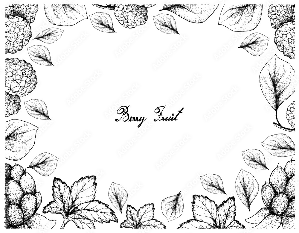 Hand Drawn Frame of Cloudberries and Chinese Mulberries Hand Drawn Frame of Cloudberries and Chinese Mulberries
