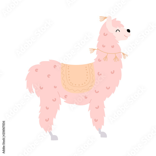 Vector illustration of  llama