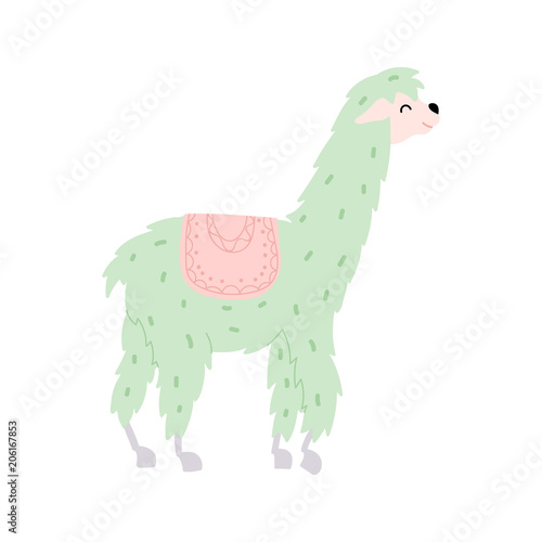 Vector illustration of  llama