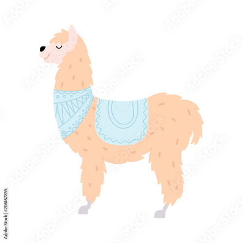 Vector illustration of  llama