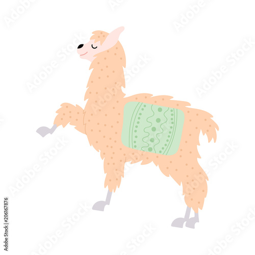 Vector illustration of  llama
