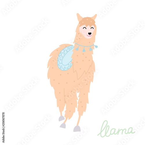 Vector illustration of  llama
