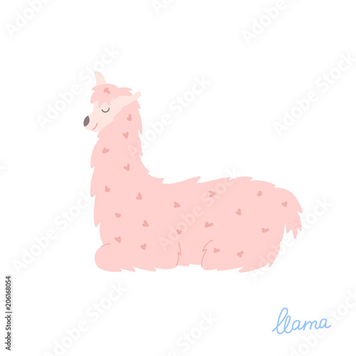Vector illustration of  llama
