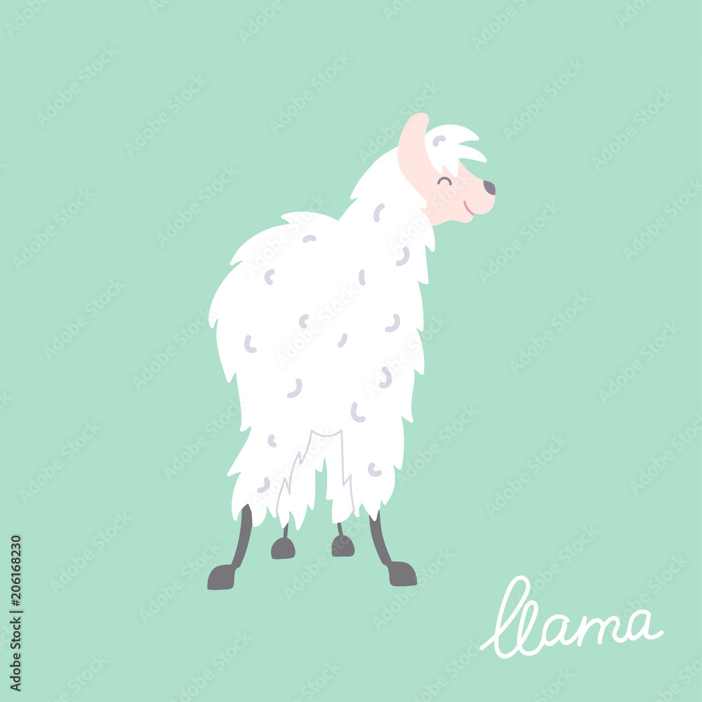 Vector illustration of llama Vector illustration of llama