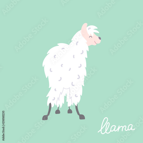 Vector illustration of  llama