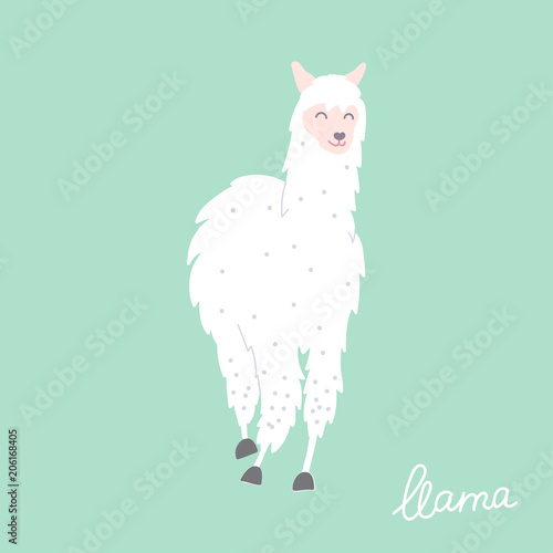 Vector illustration of  llama