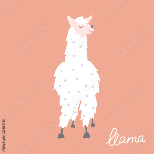 Vector illustration of  llama