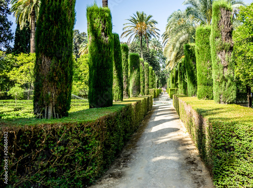 Spain, Seville, ROAD AMIDST TREES AND PLANTS AGAINST SKY in gardens