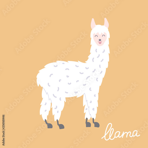 Vector illustration of  llama