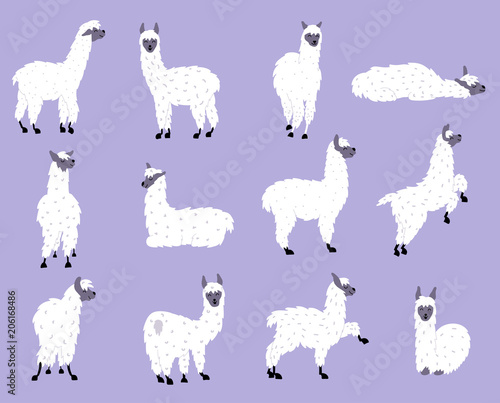 Vector set of llamas in pastel